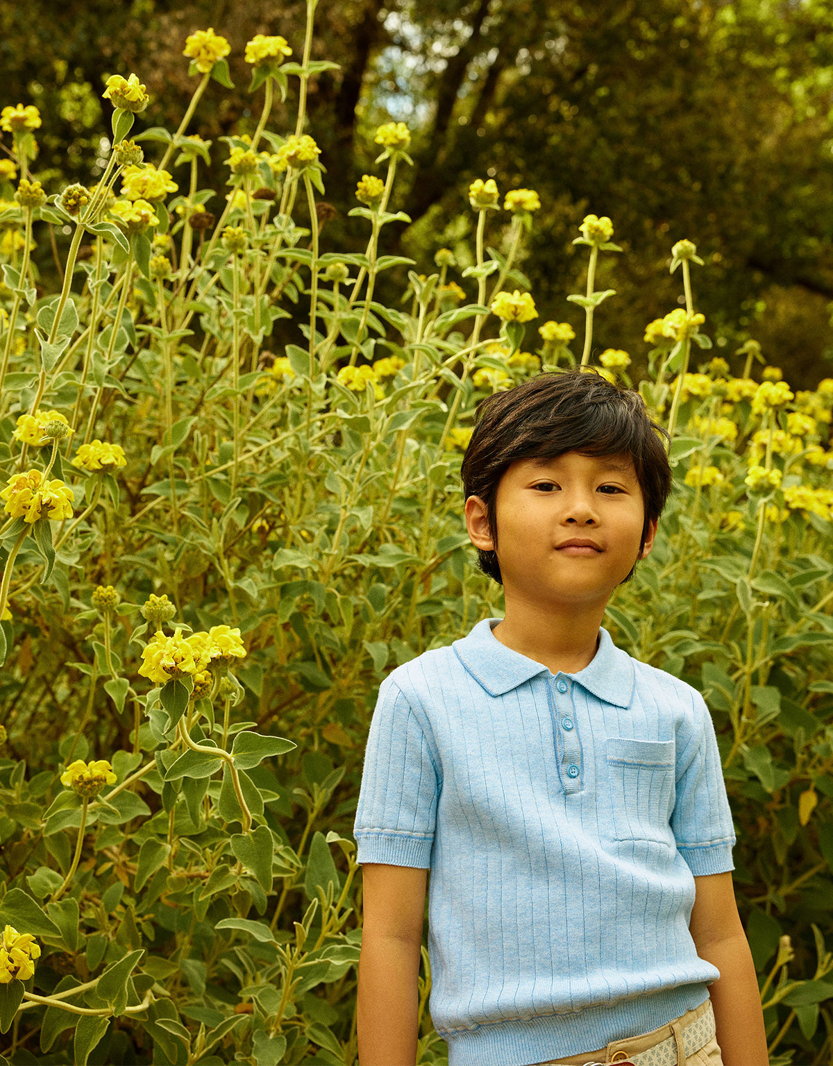 Reiner Polo Shirt with Striped Tipping Accents