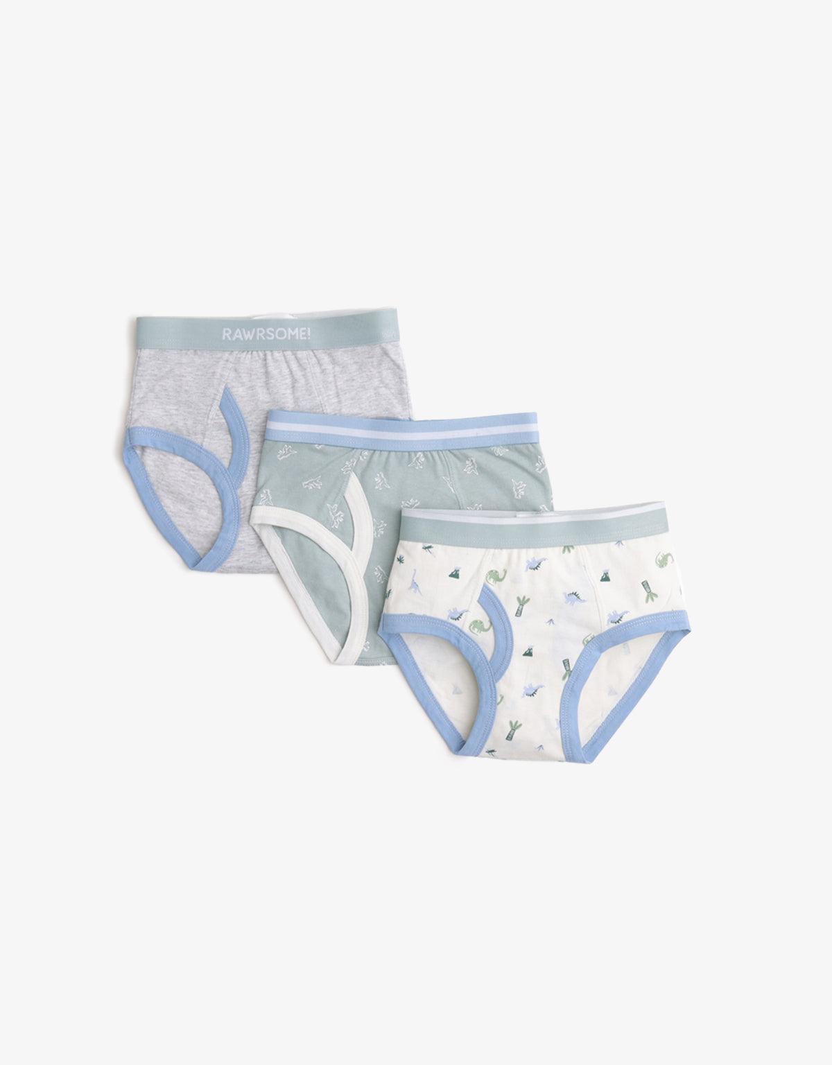 BOYS 3-PACK DINOSAUR BRIEFS SET - gingersnaps | Shop Kids & Children's clothing online at gingersnaps.com.ph