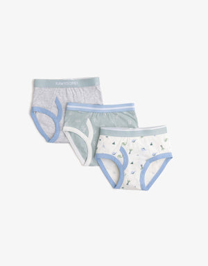 BOYS 3-PACK DINOSAUR BRIEFS SET - gingersnaps | Shop Kids & Children's clothing online at gingersnaps.com.ph